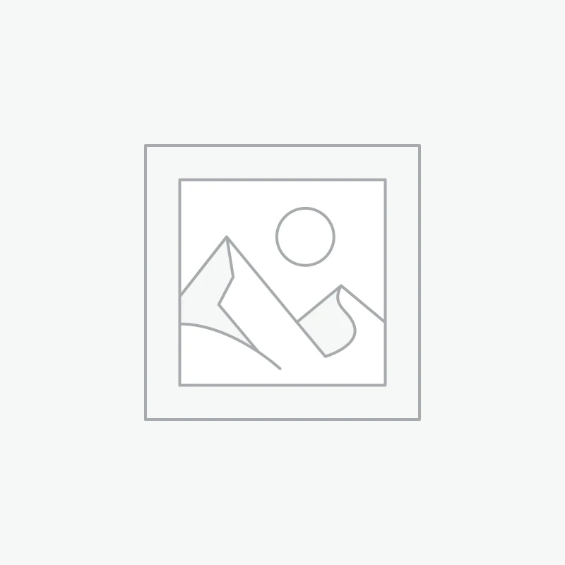 Paper & Pulp Chemicals